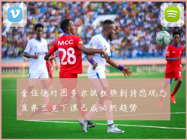 舍伍德对图多尔执教热刺持悲观态度弗兰克下课已成必然趋势